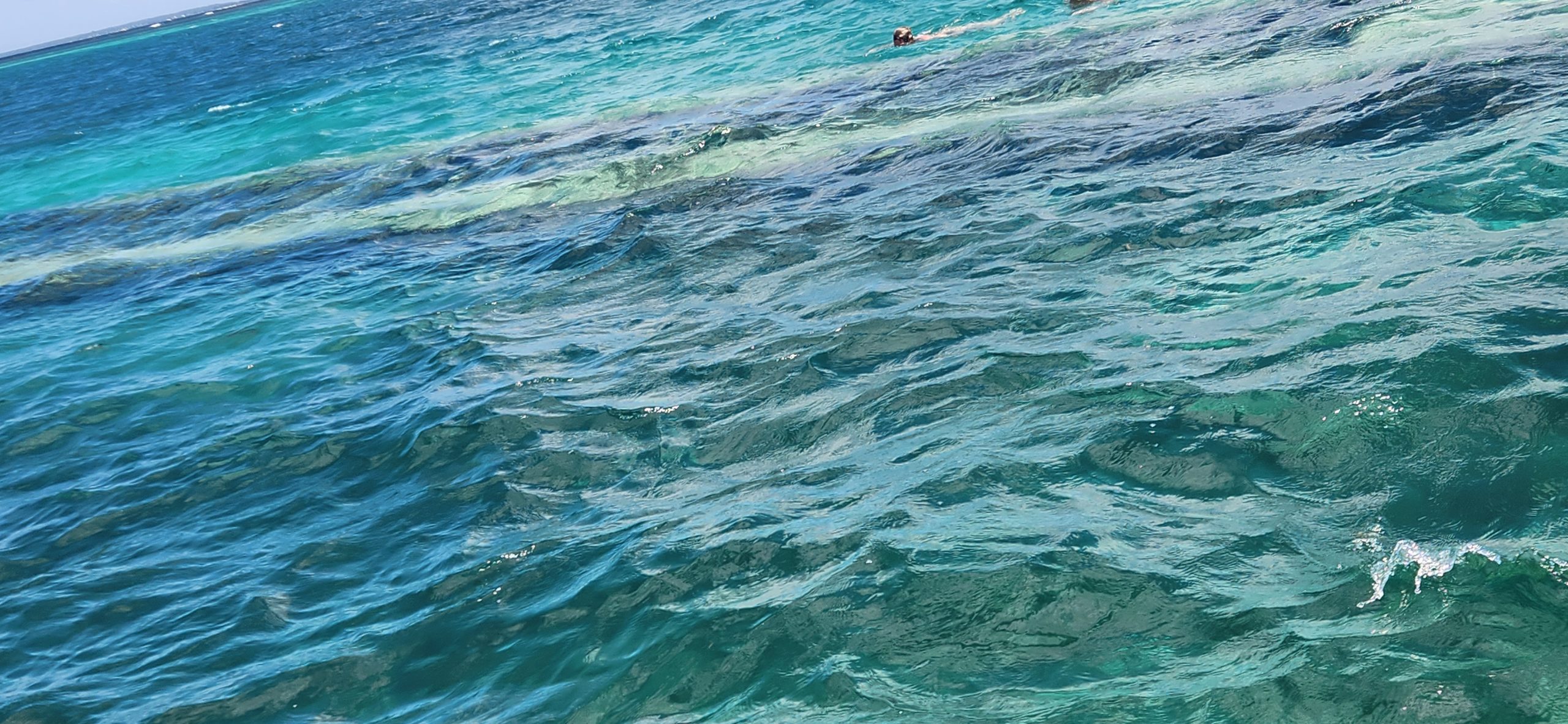 20260222_125010