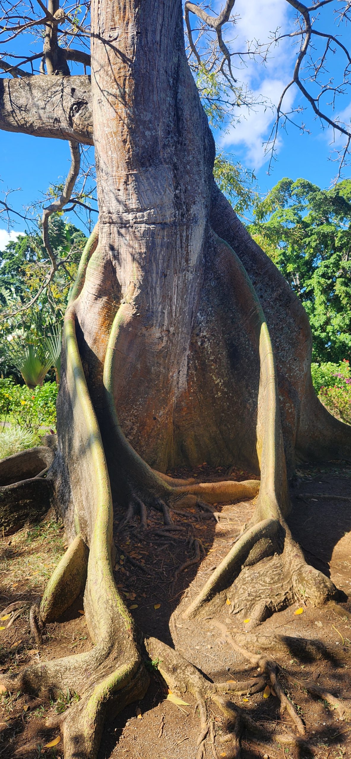 20260223_093044